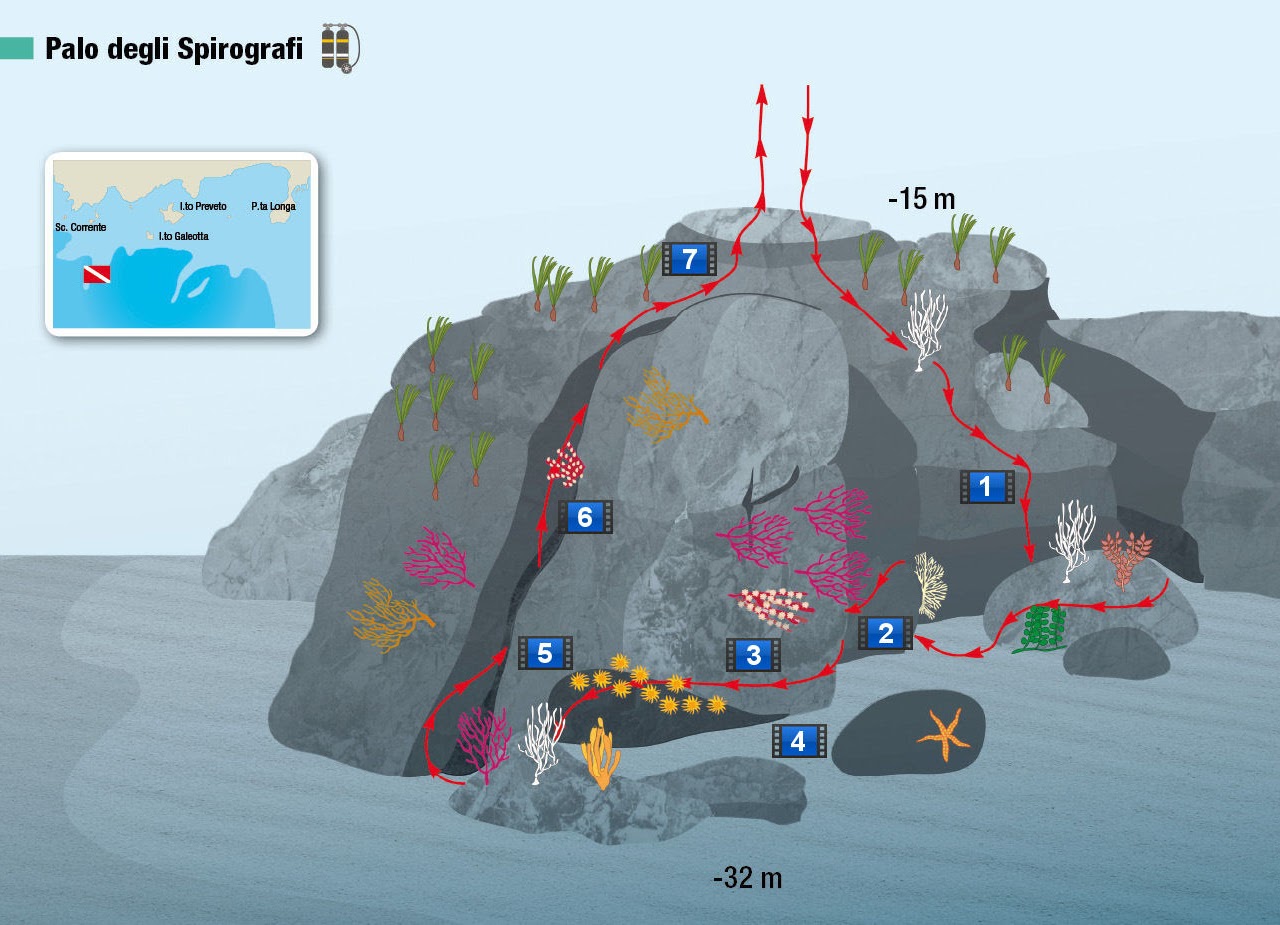 Palo degli spirografi