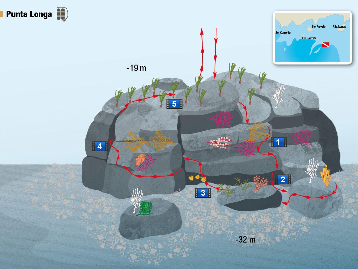 Punta lunga